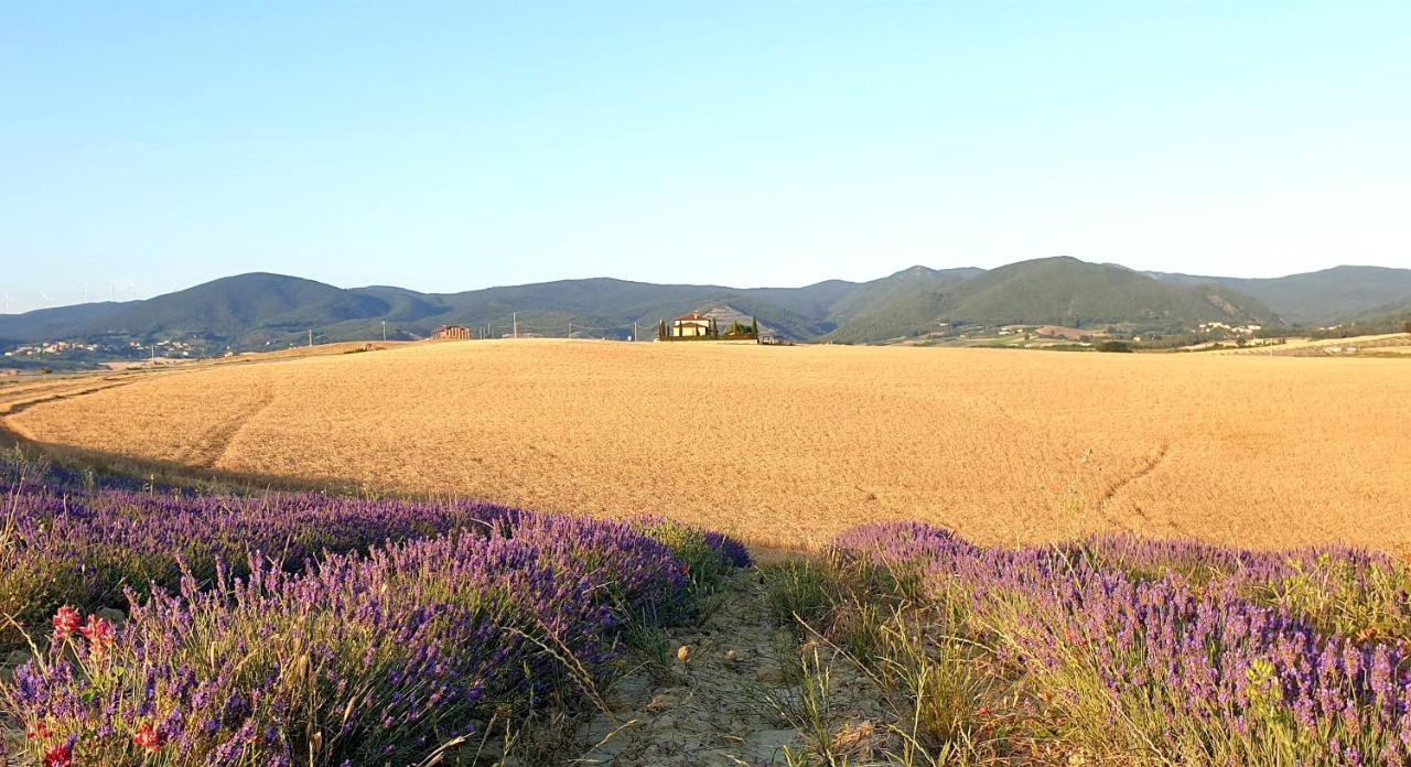 Agriturismo L'Impero Santa Luce Extérieur photo