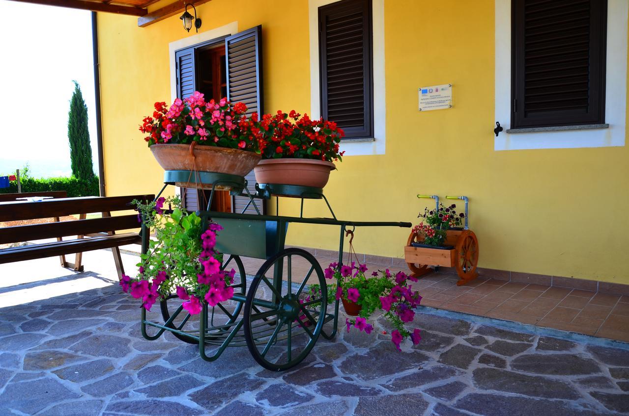 Agriturismo L'Impero Santa Luce Extérieur photo